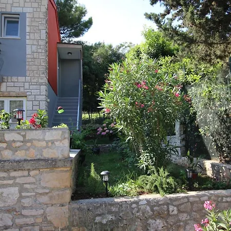 Molo View רוביני